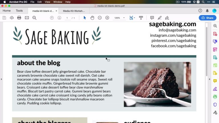 皇冠体育投注下载SageBaking媒体插件前端网页,作为Food博客媒体插件课程