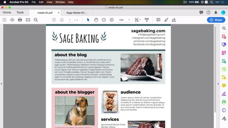 皇冠体育投注下载SageBaking媒体工具前端Food博客Pro课程