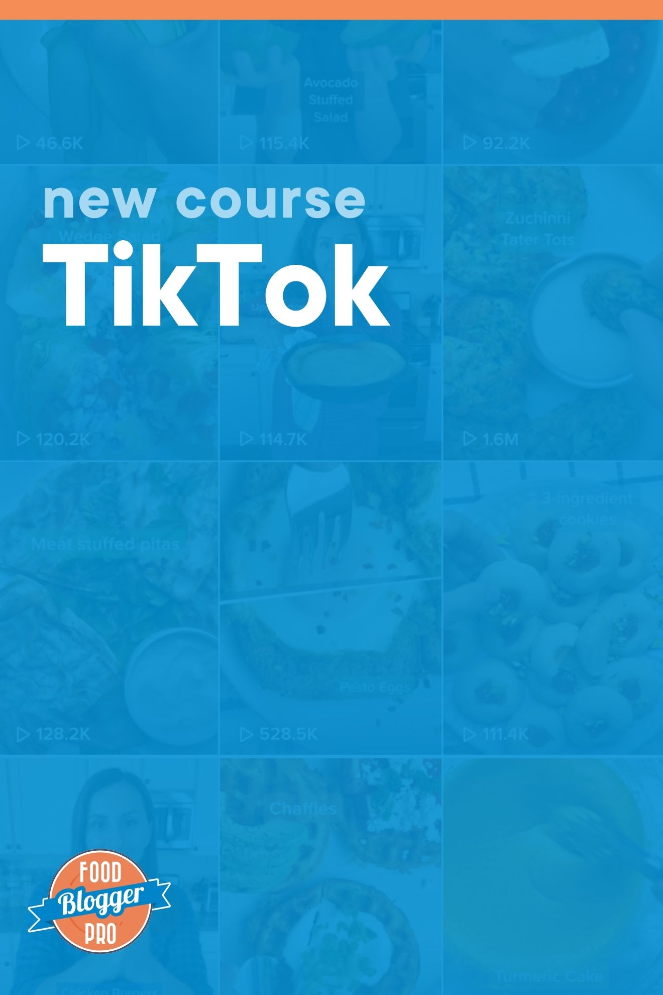 皇冠体育投注下载蓝图Tiktok feed与Food博客Pro标识读新课程TikTok